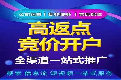 搜索引擎营销（SEM）成功运营的五大案例
